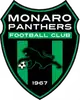 莫纳洛黑豹